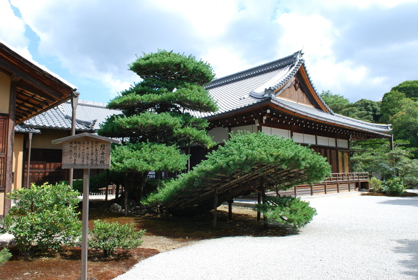 嵐山.金閣寺 (302).JPG