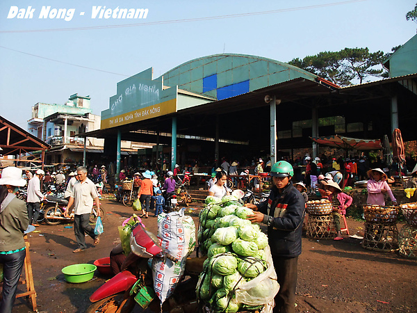 DakNong市場 - 滿載高麗菜的機車
