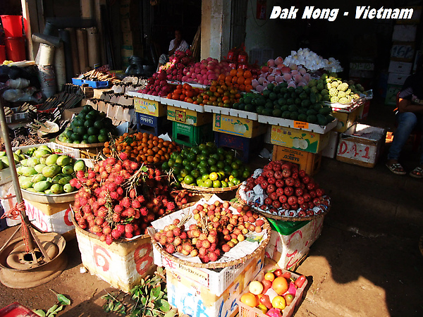 DakNong市場 - 水果攤