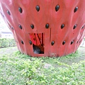CIMG4263.JPG