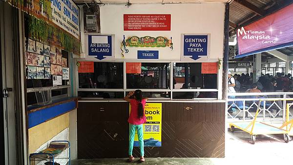 16-09-09-15-07-58-095_deco.jpg 16-09-09-15-07-58-095_deco.jpg