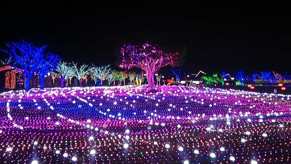 韓國 釜山 Busan慶南賽馬公園 illumia 無敵