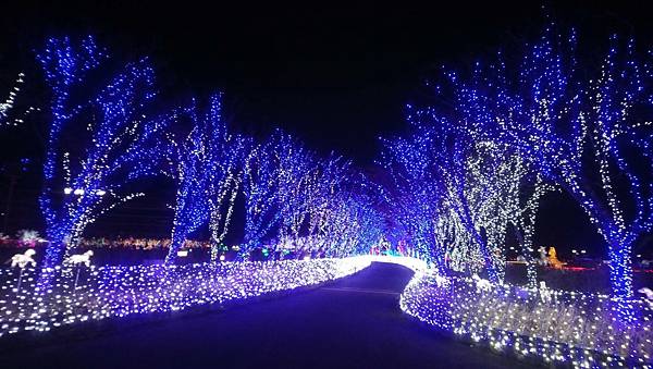 韓國 釜山 Busan慶南賽馬公園 illumia 無敵