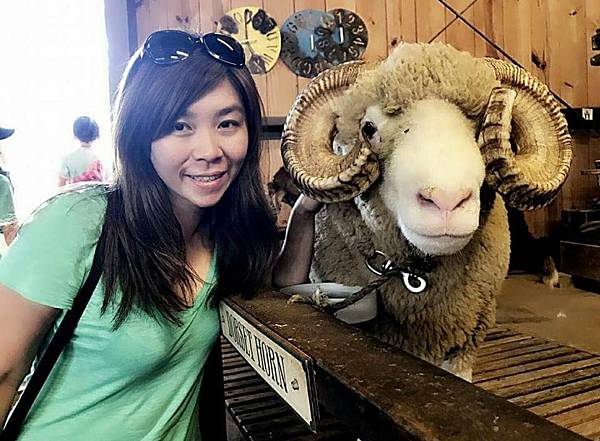 澳洲 黃金海岸｜天堂農莊Paradise Country 抱