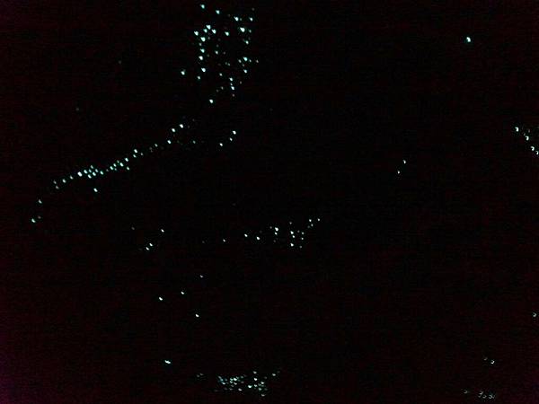 澳洲看螢光蟲自然橋&春溪國家公園 Natural Brid 澳洲看螢光蟲自然橋&春溪國家公園 Natural Brid