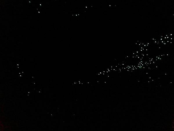 澳洲看螢光蟲自然橋&春溪國家公園 Natural Brid 澳洲看螢光蟲自然橋&春溪國家公園 Natural Brid