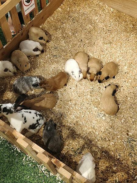 泰國芭達雅不出海也能玩瘋!羅摩衍那水上樂園、 Termin