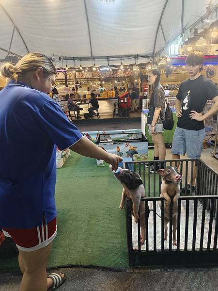 泰國芭達雅 ️曼谷移動日日記:補貨衝刺、大巴返曼谷、夜市