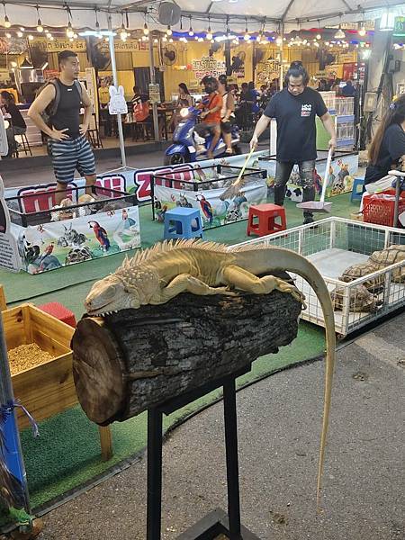 泰國芭達雅 ️曼谷移動日日記:補貨衝刺、大巴返曼谷、夜市