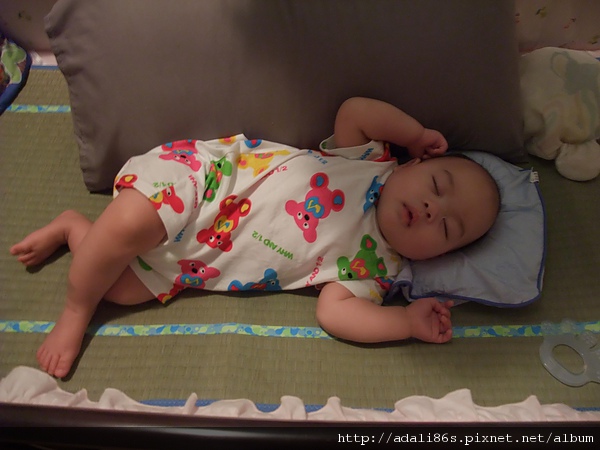 DSCF3546.JPG