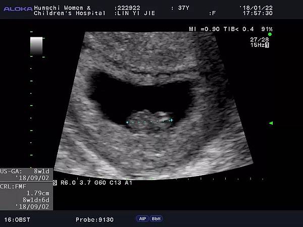 IMG_4502.JPG IMG_4502.JPG