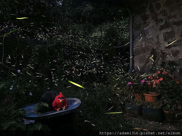 IMG_20230504_191045.jpg IMG_20230504_191045.jpg