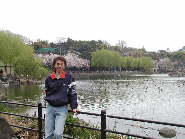 上野公園不忍池