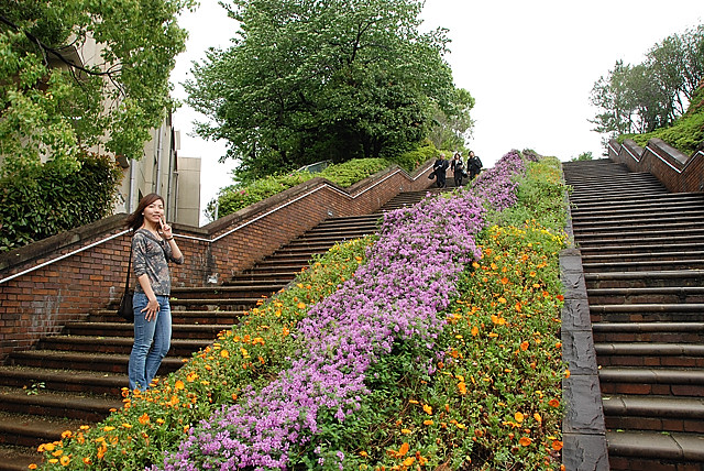0587.jpg 0587.jpg