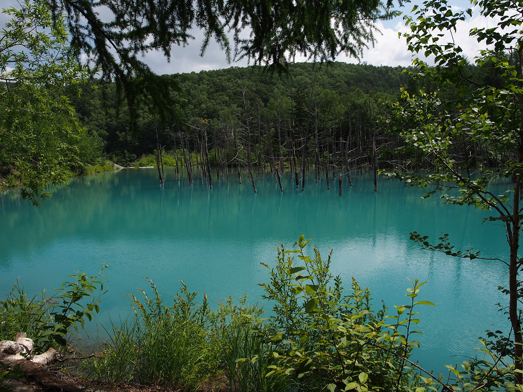P7154391.jpg P7154391.jpg