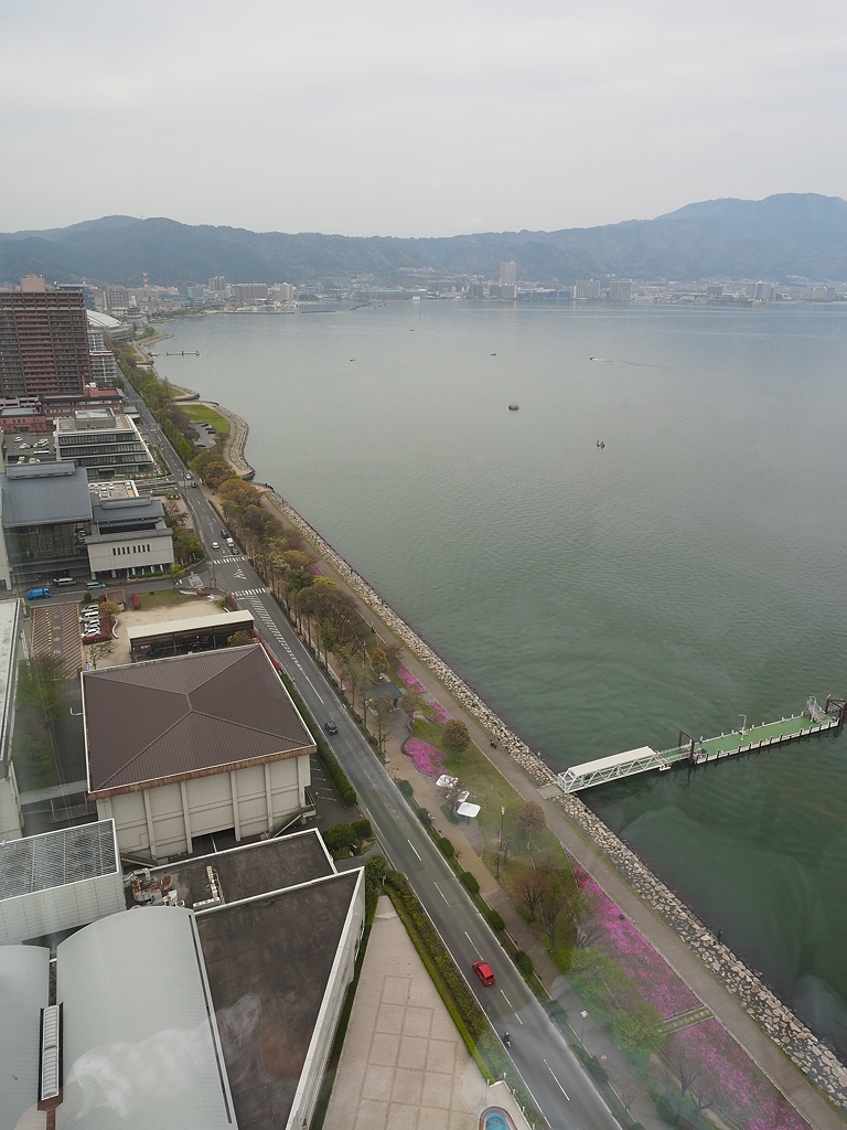 P4210178.jpg P4210178.jpg