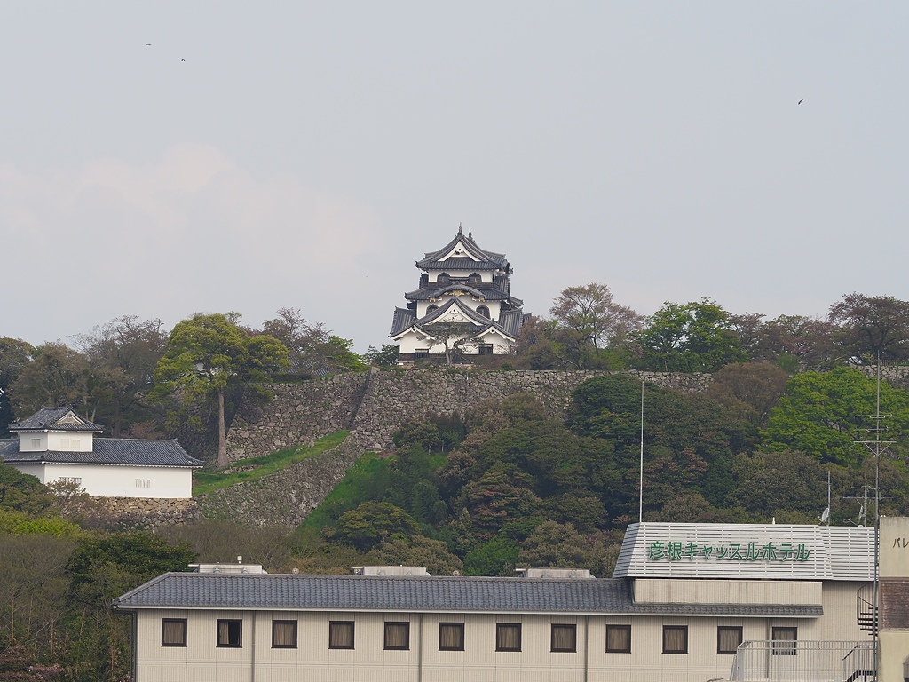 P4220415.jpg P4220415.jpg