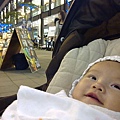 20100411081.jpg