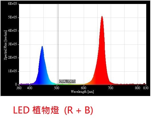 LED 植物燈