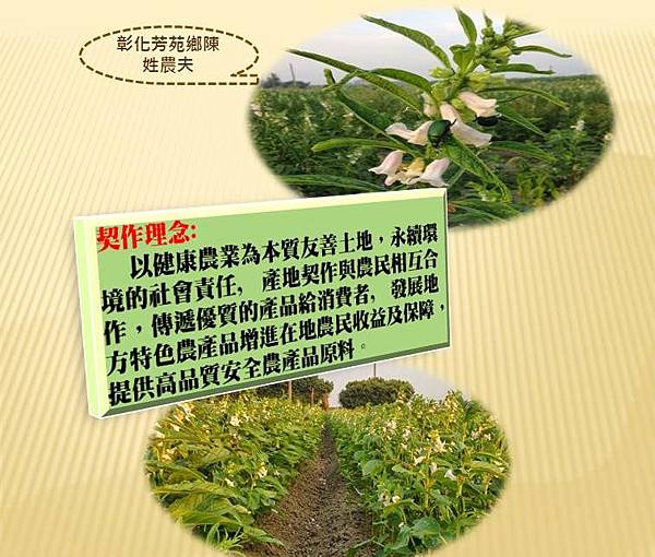 深耕產地,契作把關源頭品質.jpg 深耕產地,契作把關源頭品質.jpg