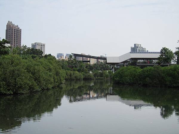 IMG_1536.JPG