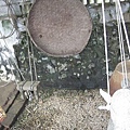 nEO_IMG_IMG_1242.jpg
