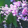 nEO_IMG_IMG_1323.jpg
