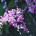 nEO_IMG_IMG_1324.jpg