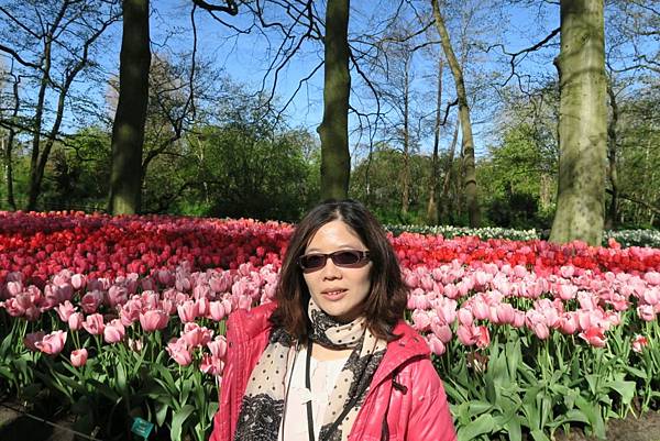 庫肯霍夫花園(KEUKENHOF)090.JPG