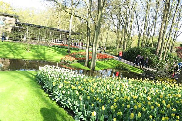 庫肯霍夫花園(KEUKENHOF)001.JPG