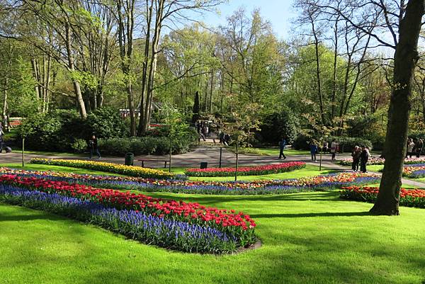 庫肯霍夫花園(KEUKENHOF)008.JPG