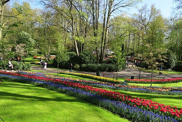 庫肯霍夫花園(KEUKENHOF)009.JPG