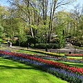 庫肯霍夫花園(KEUKENHOF)009.JPG