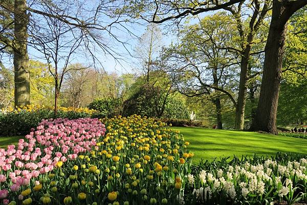 庫肯霍夫花園(KEUKENHOF)028.JPG