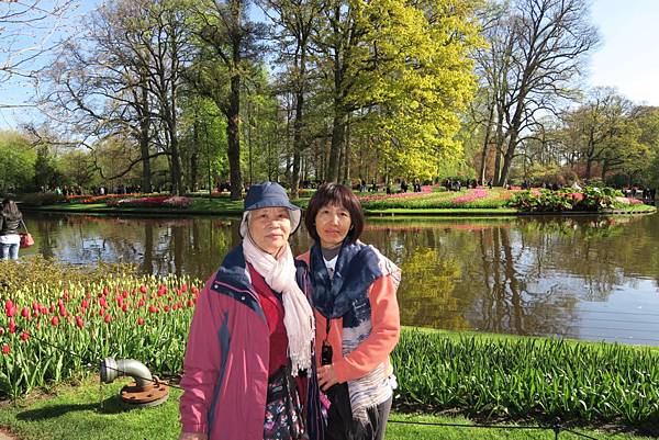 庫肯霍夫花園(KEUKENHOF)047.JPG