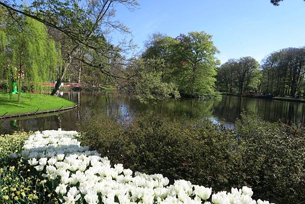 庫肯霍夫花園(KEUKENHOF)056.JPG