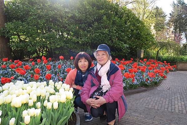 庫肯霍夫花園(KEUKENHOF)059.JPG