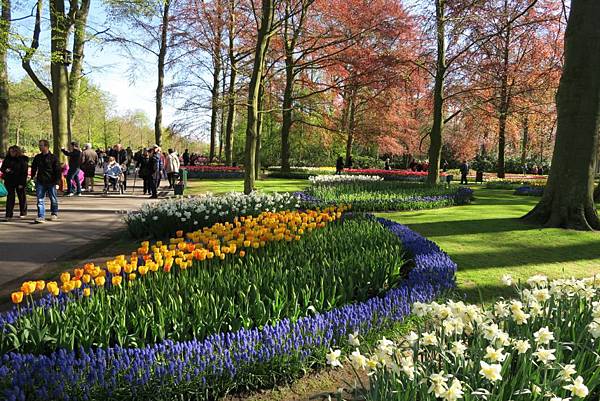 庫肯霍夫花園(KEUKENHOF)087.JPG