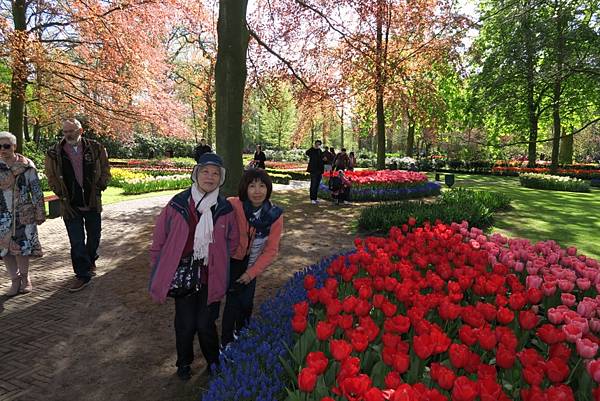 庫肯霍夫花園(KEUKENHOF)093.JPG