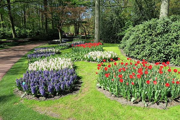 庫肯霍夫花園(KEUKENHOF)218.JPG