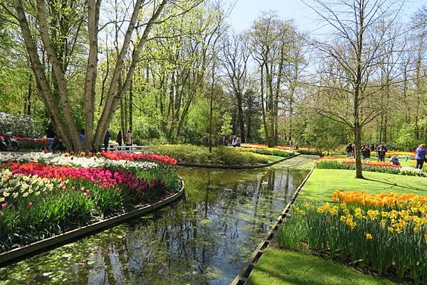 庫肯霍夫花園(KEUKENHOF)233.JPG