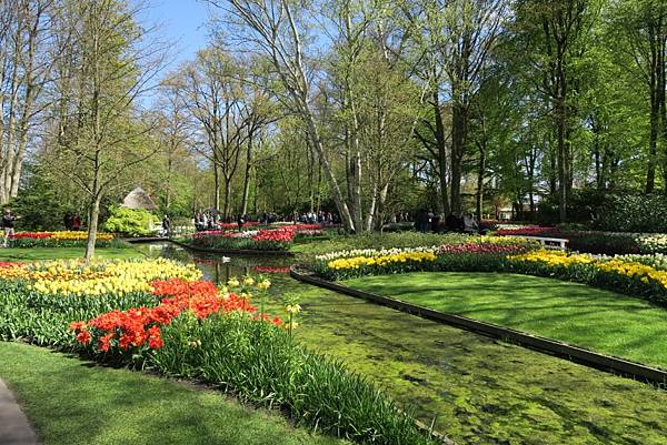 庫肯霍夫花園(KEUKENHOF)244.JPG