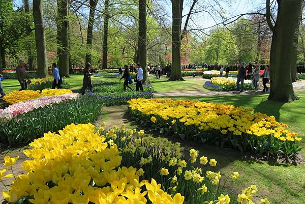 庫肯霍夫花園(KEUKENHOF)274.JPG