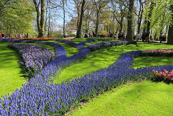 庫肯霍夫花園(KEUKENHOF)302.JPG