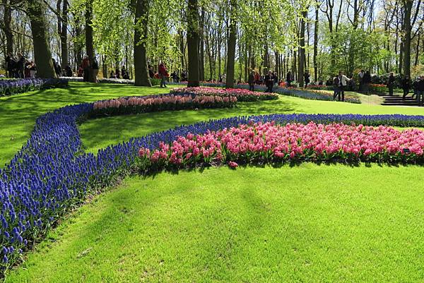 庫肯霍夫花園(KEUKENHOF)303.JPG