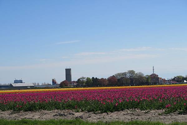 庫肯霍夫花園-球莖區電動船020.JPG