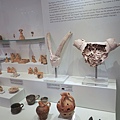 伊拉克裡翁考古博物館 (17).JPG