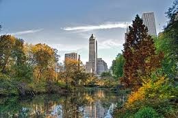 Central Park1-1.jpg