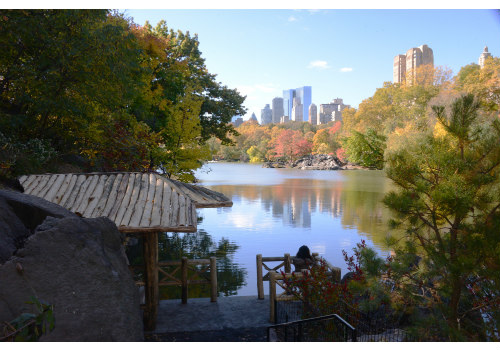 Central Park1-2.jpg