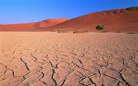 desert1.jpg desert1.jpg